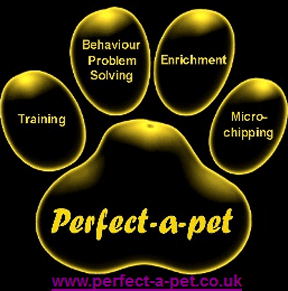 Perfect-a-pet